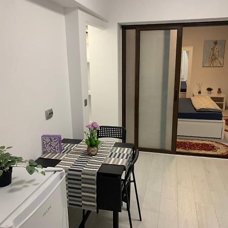 בוקרשט City Center Villa Apartament מראה חיצוני תמונה